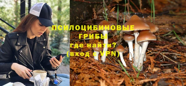 спиды Абдулино