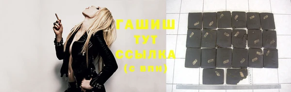 тгк Абаза