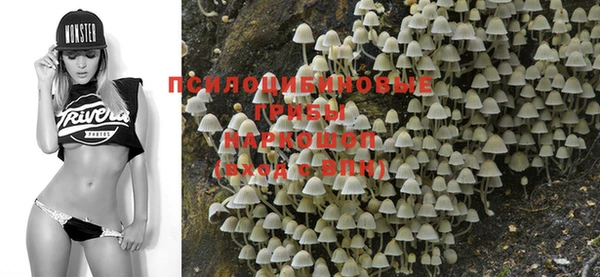 тгк Абаза