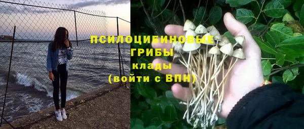 хмурый Алексеевка
