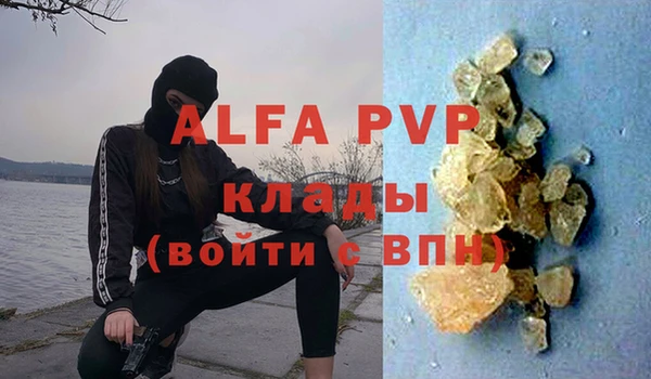 тгк Абаза
