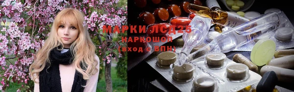 винт Алзамай