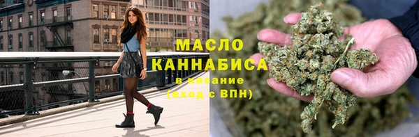 гашик Майский