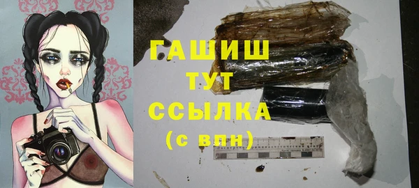 тгк Абаза