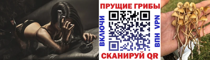 Галлюциногенные грибы мицелий  Магнитогорск 